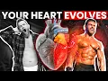 Download Lagu Your Heart is a Muscle... This is How It Adapts to Exercise