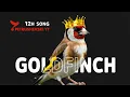 Goldfinch Best Training 12h - My New King