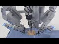 da Vinci Robotic Surgical System