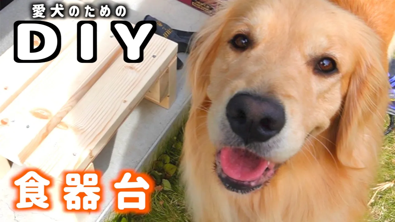 【DIY】愛犬のために専用食事台作る