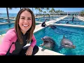 Private Tour of Florida s Best Dolphin Training Facility