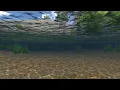 AQUAS 2020 Tutorial - Setting up Underwater Effects