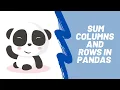 SUM COLUMNS ROWS IN A DATAFRAME How to sum columns and rows in a Pandas DataFrame