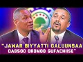Lagu KALLATTII: ICCIITII KFO FI JAWAR OBBO DAJANEEN HIMAN.