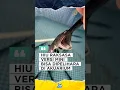 Download Lagu Ikan HIU RAKSASA Bisa Dipelihara di Akuarium #shorts #inidiachannel #hewan