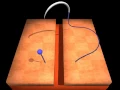 Suture Simulation - 2010