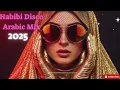 Lagu Habibi Arabic Disco Mix 2025 | Arabic DJ Set – Middle East Party
