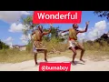 Download Lagu Burna boy - wonderful (official dance video) |skdancerstbt