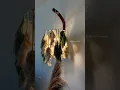 Macrame lampshade