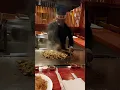 Ichiban Japanese Steak House show
