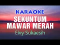 Download Lagu SEKUNTUM MAWAR MERAH - Elvy Sukaesih Karaoke