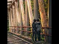 JEMBATAN CANGAR (feat. ANEKA MUSIC)