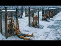 Download Lagu Genius Prisoners Pulled Off the Perfect Escape From the World’s Most Impossible Prison