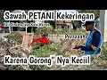 Download Lagu Terungkap❗Penyebab Air Mampet ❗Petani kurang air❗Panen Gagal#Dedimulyadi 