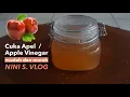 Download Lagu CARA MUDAH DAN MURAH MEMBUAT CUKA APEL HOME MADE#APPLE VINEGAR RECIPE