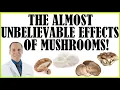 The Almost Unbelievable Effects Mushrooms With Dr Joel Fuhrman