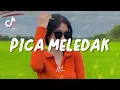 PICA MELEDAK - RISKY ABAS REMIX - ( DISCO TANAH ) !