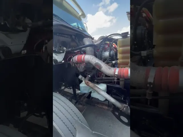 View Video