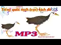 Download Lagu Tiếng quốc tạch cục kích bổi đá-Đã test thực tế hiệu quả