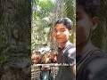 Download Lagu kerja kalian apa??? supir??? mana enak!!!