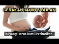 Download Lagu GERAKAN JANIN 6 BULAN YANG NORMAL, Ibu Hamil Perhatikan Hal Ini..