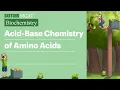 Acid Base Chemistry of Amino Acids Sketchy MCAT Biochemistry