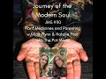JMS - Plant Medicines and Parenting w Kait Flynn Natalie Post aka The Pot Moms