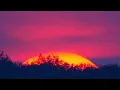 Purple Disco Machine, Kungs - Substitution (Lyrics) ft. Julian Perretta  | 25 Min