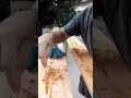 Pecky Cypress Ceiling Installation