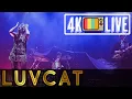Download Lagu Luvcat - He's my man, live 4k Berlin 2025