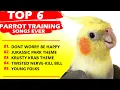 Download Lagu PARROT TRAINING SONGS EVER-Whistle Training-Teach Your Bird-Cockatiel Singing-Budgie