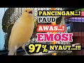 Download Lagu Kenari gacor yes yes NGEROL TAJAM, TERAPI AMPUH Kenari MACET, Pancingan Kenari Paud Belajar Bunyi