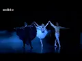 Tchaikovsky: Swan Lake choreographed by Nureyev, Final Scene