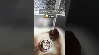 طويل الشوق يبقى في اغتراب 
