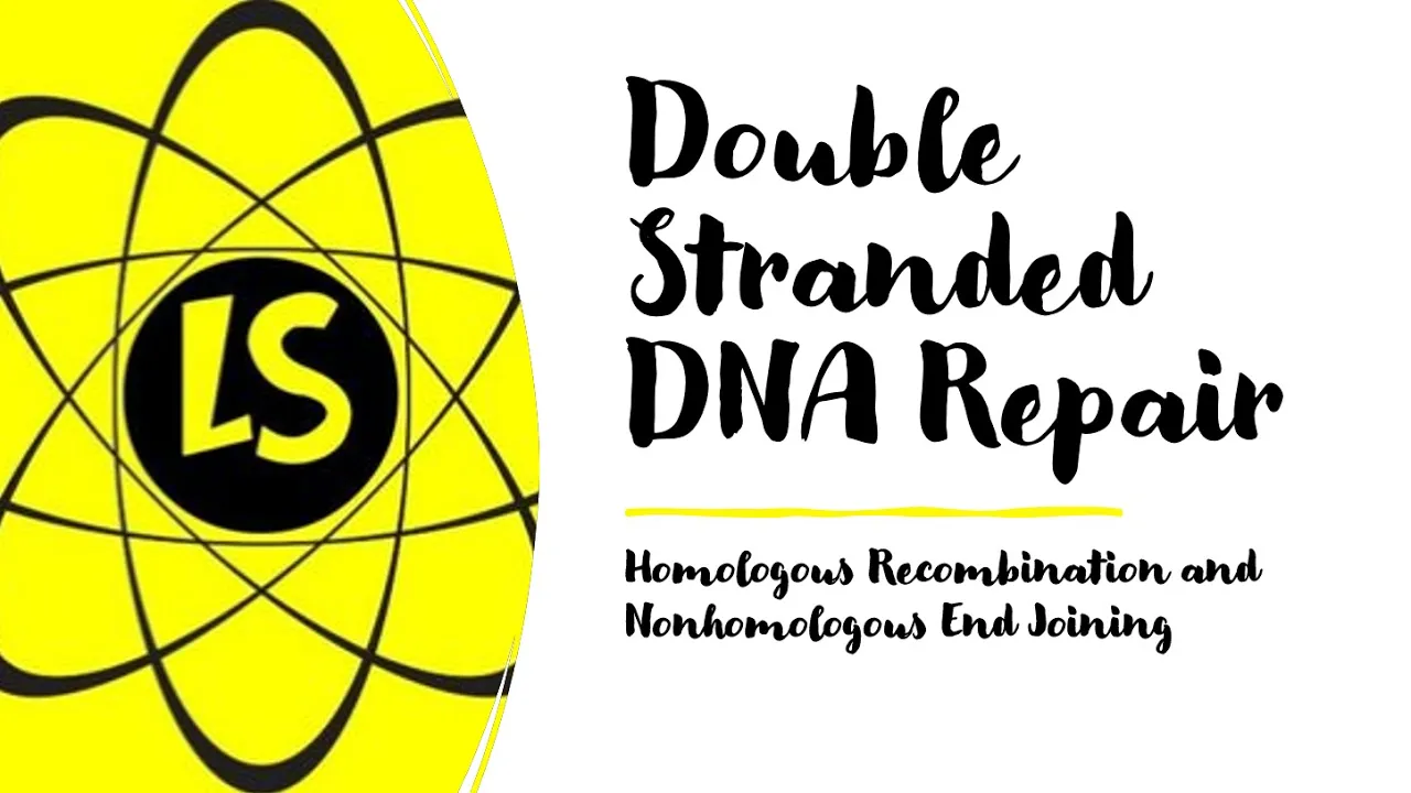 Double Stranded DNA Repair - Homologous Recombination and Nonhomologous End Joining