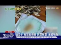 Download Lagu 嗑瓜子「衛生紙染綠」民眾嚇壞! 業者喊冤｜TVBS新聞 @TVBSNEWS01