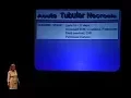 RENAL by Laura Gasparis CCRN Review