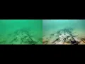 TPENet Two-stage Progressive Underwater Image Enhancement