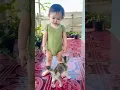 Download Lagu kmu nakal jgn kemana2 😂 #kucing #kucinglucu #shorts #shortvideo #feedshorts