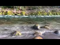 Eagle Cliff Campground Northwoods Washington December 16 2019
