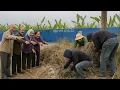 Download Lagu Elderly \u0026 Locals Cheer as We Clear Sidewalks Overrun by Weeds \u0026 Trash Blocking Exercise Paths.