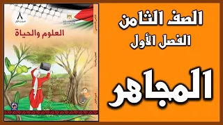 شرح و حل أسئلة درس المجاهر العلوم الصف الثامن الفصل الأول 