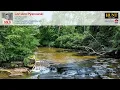 3632 South Creek Road Hamburg NY 14075