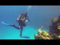Local management key to coral reef resilience