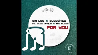 sir lsg u0026 buddynice for you feat skye wanda u0026 the bless vocal mix