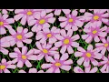 lava la rue: widdit (slowed + reverb)