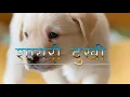 Download Lagu animal quotes sad shayari