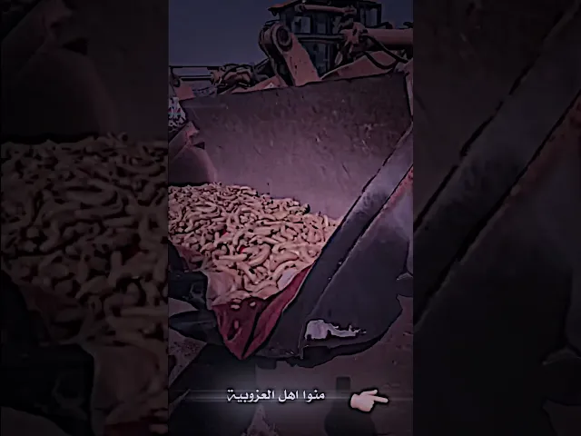 ⁣الكرم العراقيين ماله حدود ( ببركة الإمام الحسين:ع) حالات واتس ستوريات #بدون_حقوق