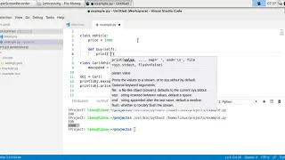 Python Inheritance OOP