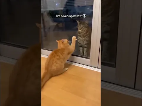He's Like - "MOM... 🥺"